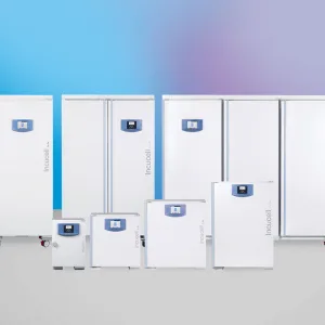 Инкубаторы с естественной принудительной циркуляцией